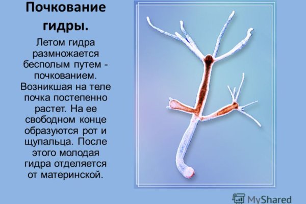 Кракен магазин наркотиков