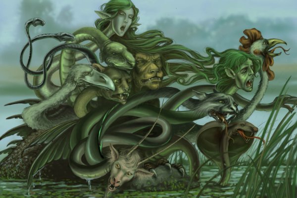 Kraken official