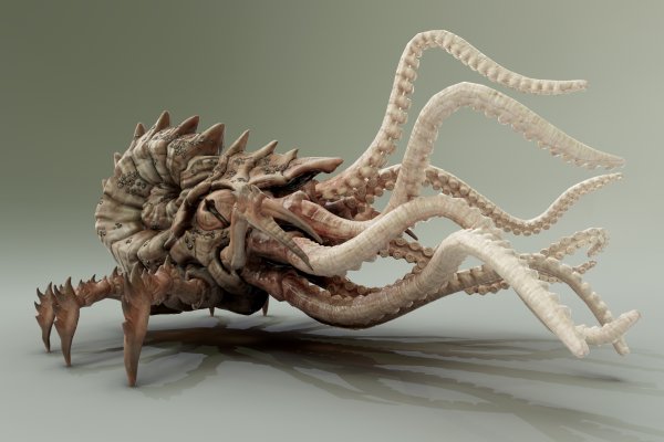 Http kraken 2kr