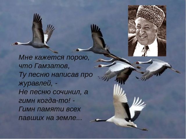 Kraken зеркало даркнет